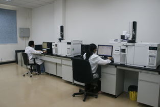 華科檢測技術服務積極捐資支持新中學建設，助力信息技術咨詢服務發展